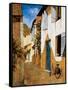 The Visit-Gilles Archambault-Framed Stretched Canvas