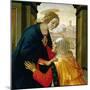 The Visitation, 1491-Domenico Ghirlandaio-Mounted Giclee Print