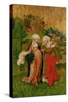 The Visitation, 1506-Master M. S.-Stretched Canvas