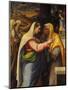The Visitation, 1519-21-Sebastien Bourdon-Mounted Giclee Print
