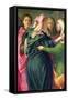 The Visitation, 1528-30 (Detail)-Jacopo da Carucci Pontormo-Framed Stretched Canvas