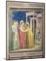 The Visitation, circa 1305-Giotto di Bondone-Mounted Giclee Print