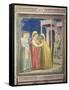 The Visitation, circa 1305-Giotto di Bondone-Framed Stretched Canvas