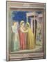 The Visitation, circa 1305-Giotto di Bondone-Mounted Giclee Print