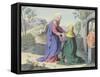 The Visitation of St Elizabeth-null-Framed Stretched Canvas