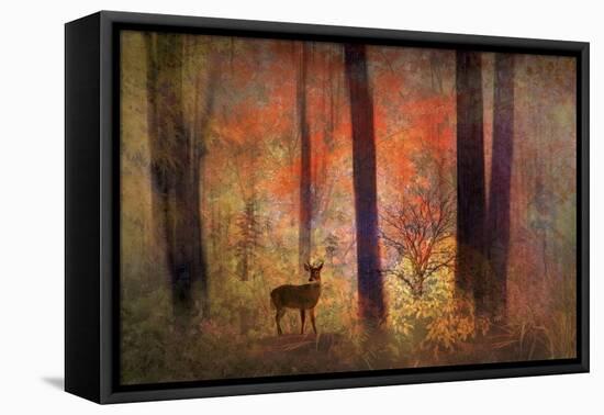 The Visitor-Jessica Jenney-Framed Stretched Canvas