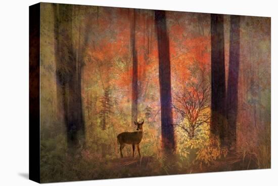 The Visitor-Jessica Jenney-Stretched Canvas