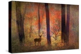 The Visitor-Jessica Jenney-Stretched Canvas