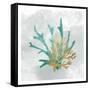 The Voice of the Sea 1-Kimberly Allen-Framed Stretched Canvas