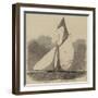 The Volante, Winner of the Royal Thames Yacht Club Grand Challenge Cup-null-Framed Giclee Print
