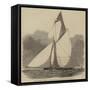 The Volante, Winner of the Royal Thames Yacht Club Grand Challenge Cup-null-Framed Stretched Canvas