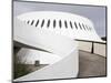 The Volcan Cultural Centre Designed By Oscar Niemeyer, Le Havre, Normandy, France, Europe-Richard Cummins-Mounted Photographic Print