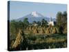 The Volcano of Popocatepetl, Puebla State, Mexico, North America-Robert Cundy-Stretched Canvas