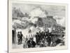 The Volunteer Review at Dover: Defence of the Castle Batteries Uk 1869-null-Stretched Canvas