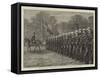 The Volunteer Review, the Royal Naval Volunteers Marching Past-Charles Joseph Staniland-Framed Stretched Canvas