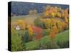 The Vosges, Alsace-Lorraine, France, Europe-John Miller-Stretched Canvas