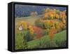 The Vosges, Alsace-Lorraine, France, Europe-John Miller-Framed Stretched Canvas