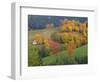 The Vosges, Alsace-Lorraine, France, Europe-John Miller-Framed Photographic Print