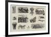 The Voyage of the Sy Ceylon to the Land of the Midnight Sun-null-Framed Giclee Print