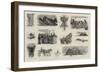 The Voyage of the Sy Ceylon to the Land of the Midnight Sun-null-Framed Giclee Print