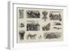 The Voyage of the Sy Ceylon to the Land of the Midnight Sun-null-Framed Giclee Print