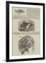 The Voyages of Captain James Cook-null-Framed Giclee Print