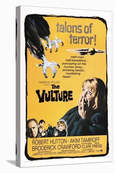 The Vulture, Diane Clare, 1967-null-Stretched Canvas
