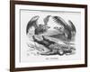 The Vultures, 1887-Joseph Swain-Framed Giclee Print