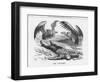 The Vultures, 1887-Joseph Swain-Framed Giclee Print