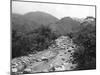 The Wag-River, Castleton, Jamaica, C1905-Adolphe & Son Duperly-Mounted Giclee Print