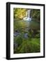 The Waiau Falls on the Coromandel Peninsula of the North Island of New Zealand-Paul Dymond-Framed Photographic Print