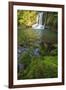 The Waiau Falls on the Coromandel Peninsula of the North Island of New Zealand-Paul Dymond-Framed Photographic Print