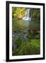 The Waiau Falls on the Coromandel Peninsula of the North Island of New Zealand-Paul Dymond-Framed Photographic Print