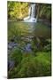 The Waiau Falls on the Coromandel Peninsula of the North Island of New Zealand-Paul Dymond-Mounted Photographic Print