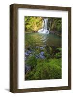 The Waiau Falls on the Coromandel Peninsula of the North Island of New Zealand-Paul Dymond-Framed Photographic Print