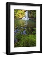 The Waiau Falls on the Coromandel Peninsula of the North Island of New Zealand-Paul Dymond-Framed Photographic Print