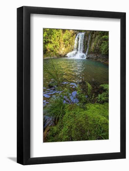 The Waiau Falls on the Coromandel Peninsula of the North Island of New Zealand-Paul Dymond-Framed Photographic Print