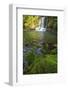 The Waiau Falls on the Coromandel Peninsula of the North Island of New Zealand-Paul Dymond-Framed Photographic Print