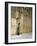 The Wailing Wall, Jerusalem-Jean Leon Gerome-Framed Giclee Print