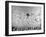 The Wailing Wall-null-Framed Photographic Print