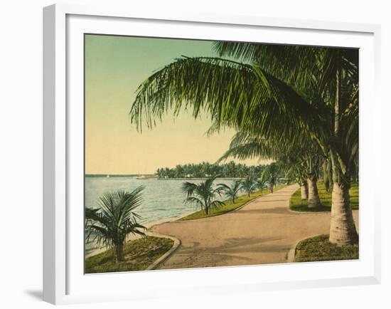 The Walk at Palm Beach, C.1898-null-Framed Giclee Print