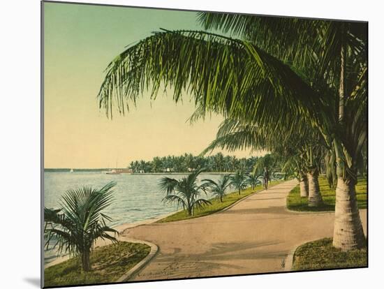 The Walk at Palm Beach, C.1898-null-Mounted Giclee Print