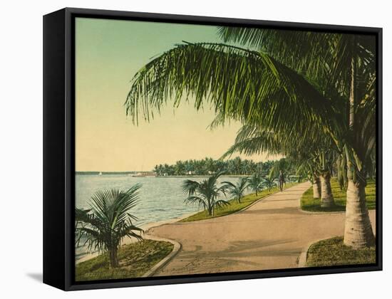 The Walk at Palm Beach, C.1898-null-Framed Stretched Canvas