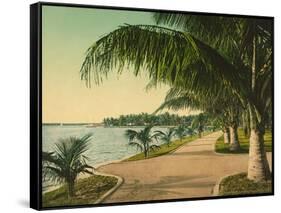 The Walk at Palm Beach, C.1898-null-Framed Stretched Canvas