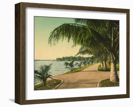 The Walk at Palm Beach, C.1898-null-Framed Giclee Print