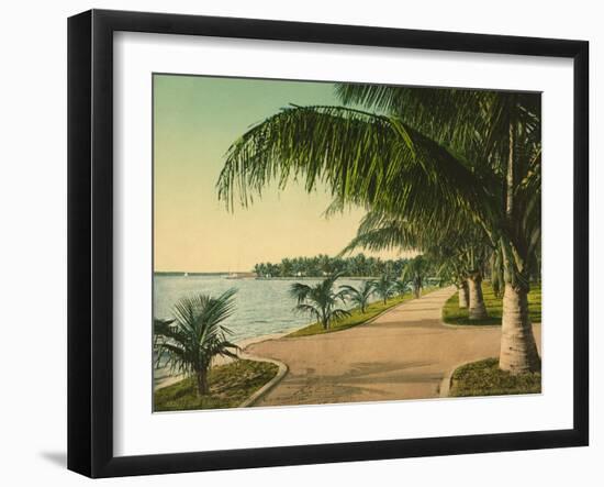 The Walk at Palm Beach, C.1898-null-Framed Giclee Print