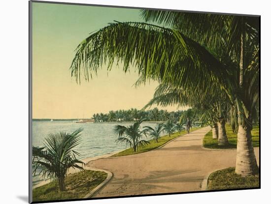 The Walk at Palm Beach, C.1898-null-Mounted Giclee Print