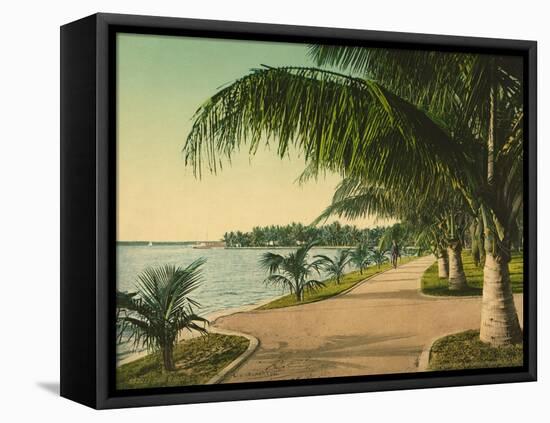 The Walk at Palm Beach, C.1898-null-Framed Stretched Canvas