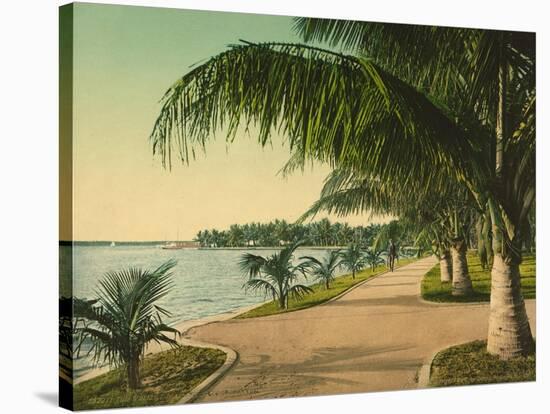 The Walk at Palm Beach, C.1898-null-Stretched Canvas