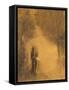 The Walker, Study for "The Walking Buddha," 1890-95-Odilon Redon-Framed Stretched Canvas